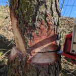 PXL_20250317_105950332