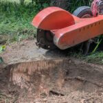 PXL_20250514_080138294