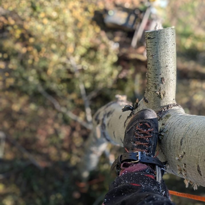 PXL_20251020_111657246.PORTRAIT